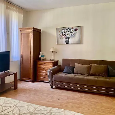 Vip райский сад, огромная студия с садом * 圣弗拉斯